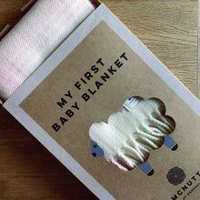Load image into Gallery viewer, Checked Baby Blanket in Pink Sky - James & May