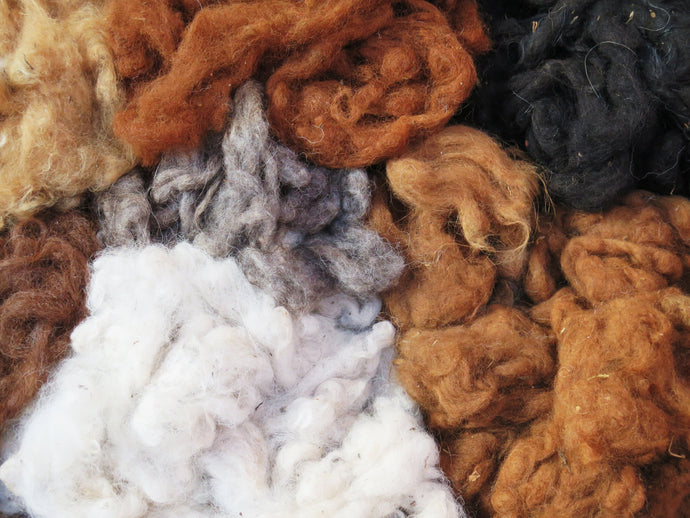 What are the Differences Between Types of Wool?