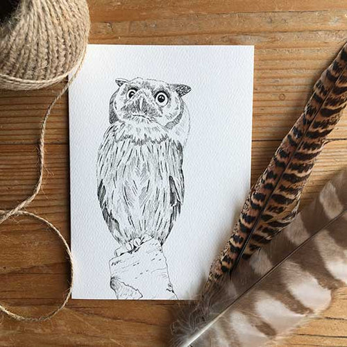 Northern White Faced Owl Notecard - James & May